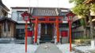 たくさんの猫の姿がありました