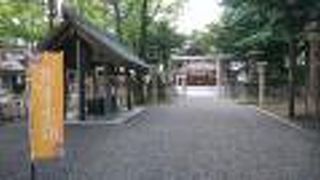 秋の花手水を見に行きました