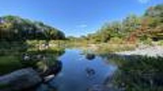 立派な日本庭園！