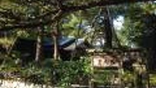 美しい庭園があります