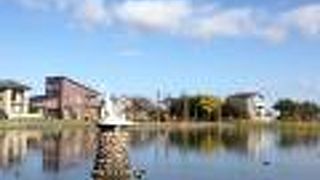 白鳥で有名な湖です。