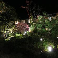 静かな夜のホテル内庭