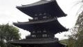 三重塔は地味な存在ですが、興福寺では最古の建物のようです。勿論国宝です