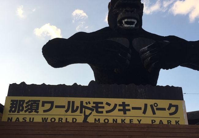 那須ワールドモンキーパーク クチコミ アクセス 営業時間 那須 フォートラベル 那須ワールドモンキーパーク クチコミ アクセス 営業時間 那須 フォートラベル