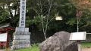 見どころが多いです