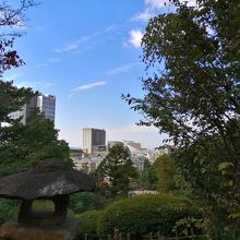 二子玉川が見えます