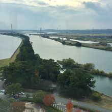 木曾三川公園センターの展望タワーから見た松並木全体の景色