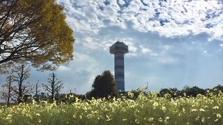 木曽三川を一望できる展望タワーがシンボル
