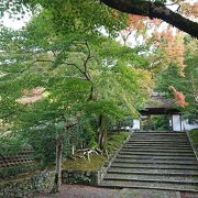 京都:季節、曜日限定