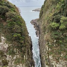 すごい切れ込み