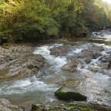 布目川の渓谷