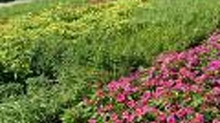 オススメの植物園♪