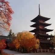 紅葉が本当に綺麗でした。