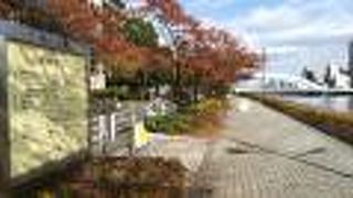 秋は紅葉春はサクラ