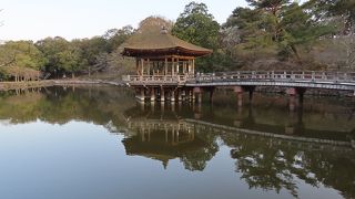水辺の素敵な風景
