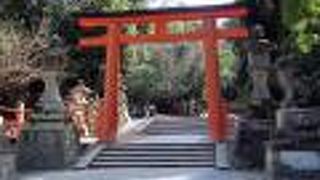 いよいよこの先が春日大社本殿