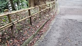 やっぱり金色堂