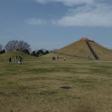 永田公園(吉川富士)