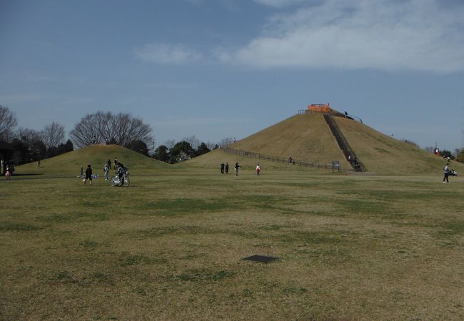 永田公園 クチコミ・アクセス・営業時間｜三郷・吉川【フォー