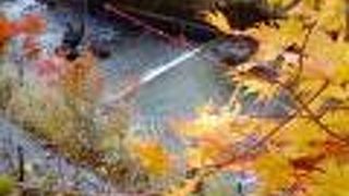 中禅寺湖から日光市内へと多彩な流れを見せてくれる川です