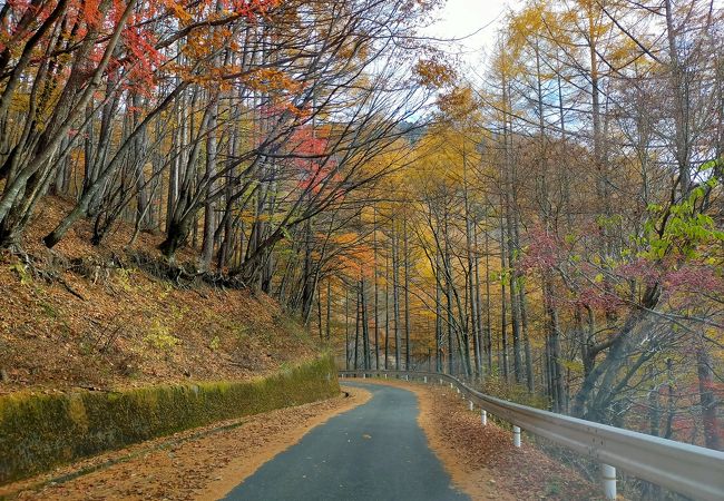 紅葉時期がおすすめ