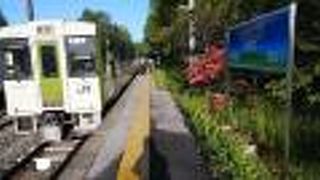 高所を走行する観光路線