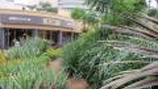 なんばパークスの庭園です