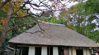 あまり広くない