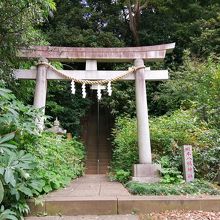 裏門近くの岡本八幡神社