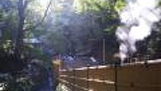 雰囲気の良いお茶屋さん。