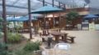 のんびりとした雰囲気も心地よく