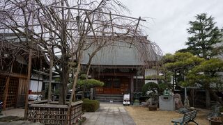 ちょっとした公園のような境内です