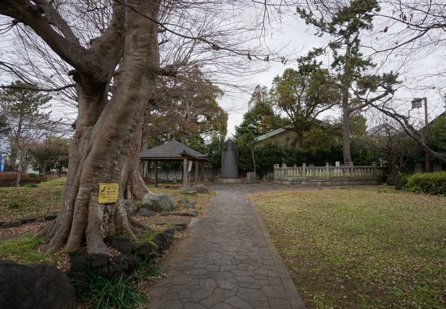 やっぱり大事にはされているようです