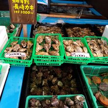 カキは自分で選ぶスタイル