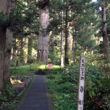 一人で頑張っています。