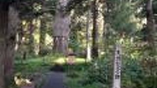 五重塔の手前です