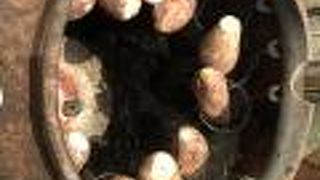 美味しい焼き芋！