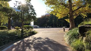 秋バラが咲いていました。