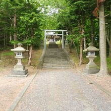 深い緑に覆われた参道