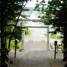 参道の上から国道４０号線を見る