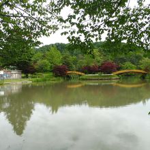 池を中心として………