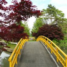 池の中の小島に渡る太鼓橋