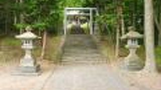 変わった賽銭入れ？