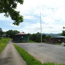 駐車場脇でもピクニックしてます