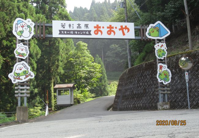 若杉高原おおやスキー場