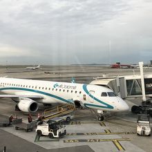 ルフトハンザを予約していたのに、こんなイタリアの飛行機…