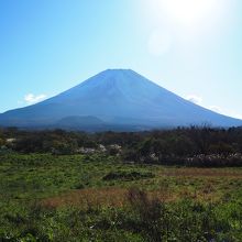 もう少しはやければ