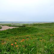 いくつかの湖と原生花園