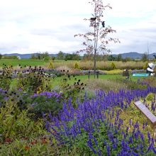 神人の森ガーデン