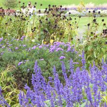 癒されるリラックス効果あり